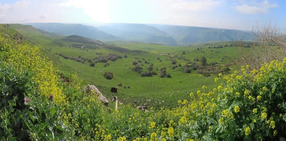 פינות קסומות לקפה בטבע